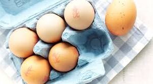 Fresh Chicken Eggs